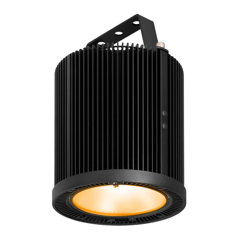 LED House Light 100W